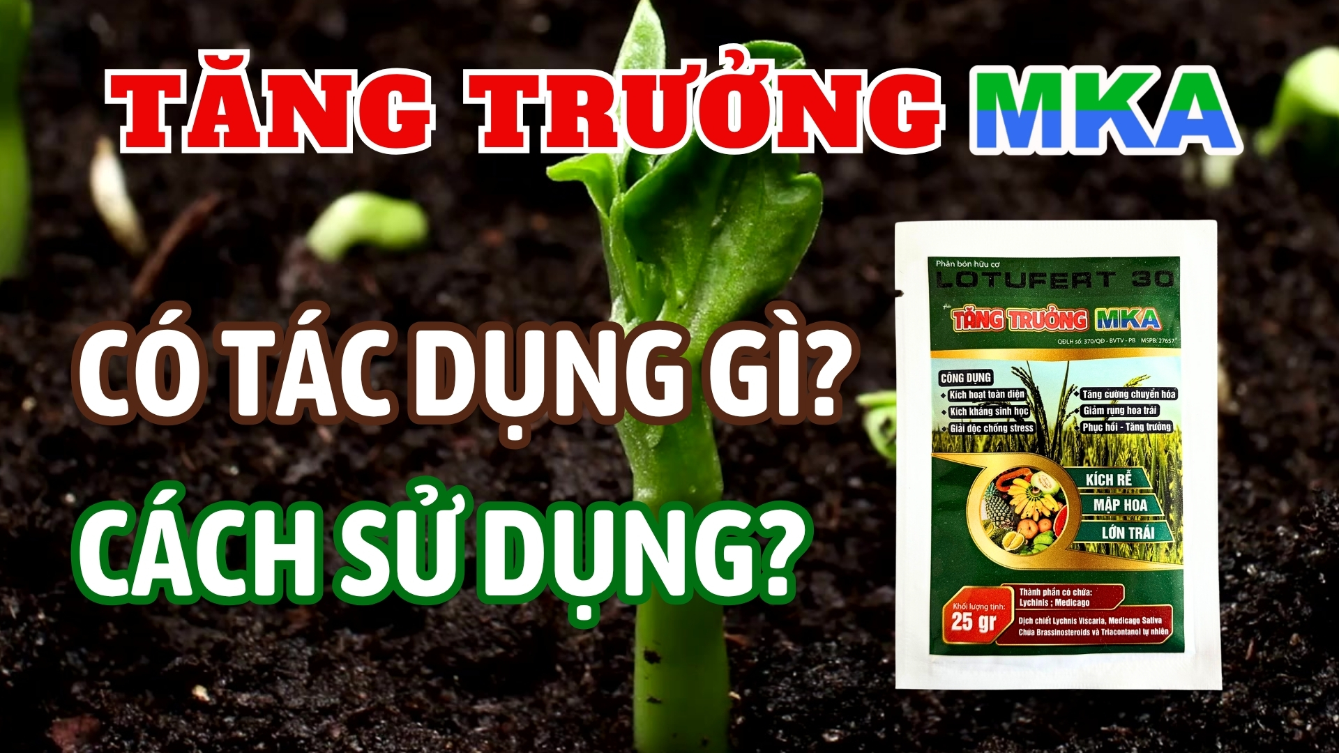Tăng trưởng MKA